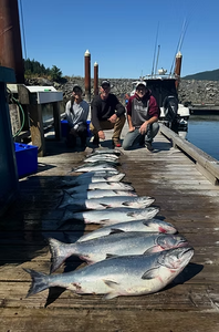 Spectacular Chinook salmon lineup